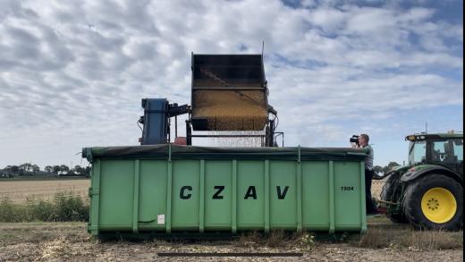 CZAV