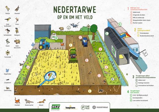 Infographic Nedertarwe